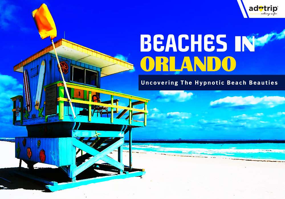 Famous Beaches In Orlando